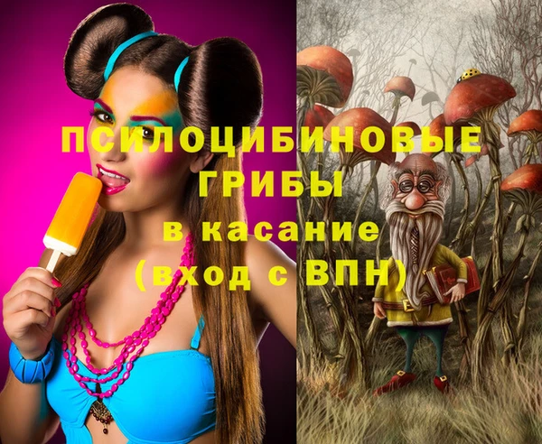 стаф Осташков