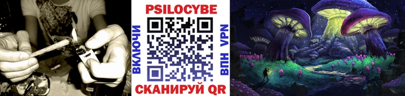 Галлюциногенные грибы мухоморы  даркнет сайт  OMG tor  Бабаево 